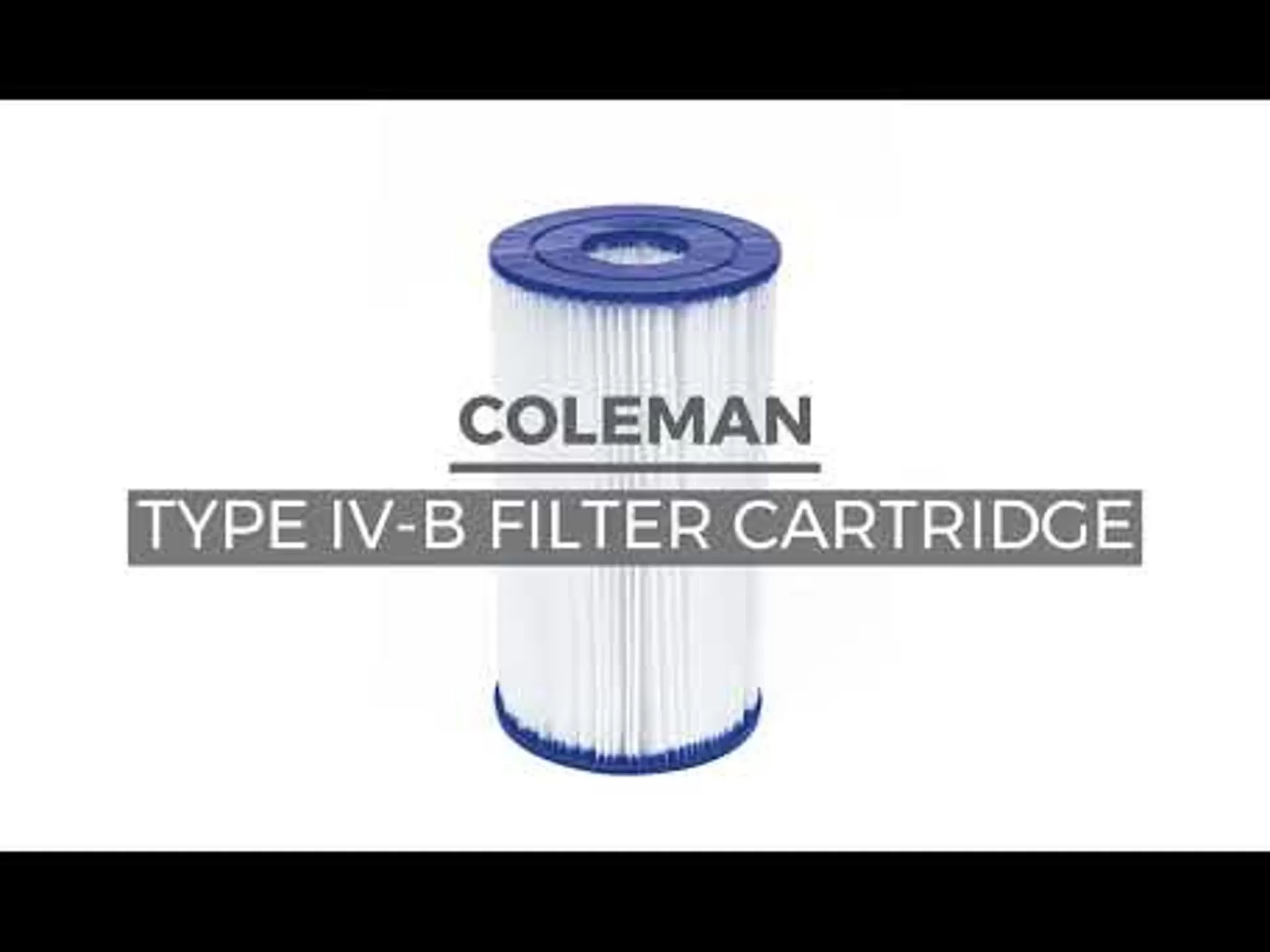 Bestway Coleman Type Iv-B Filter Cartridge 2-Pack Cheap