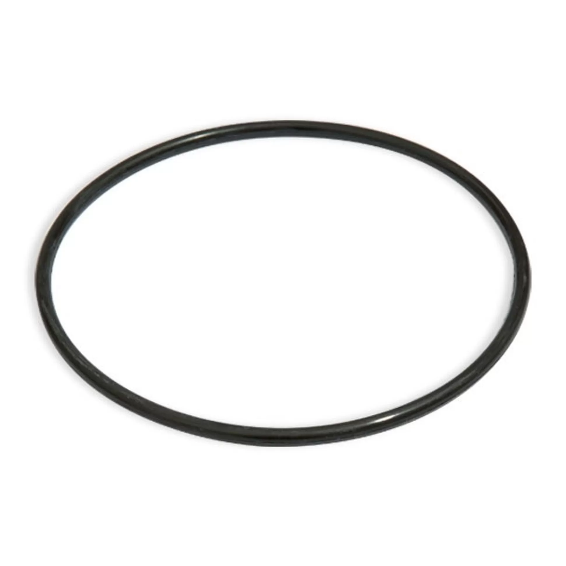 Bestway Filter Cap Seal For 2500Gal. Filter Pump Hot