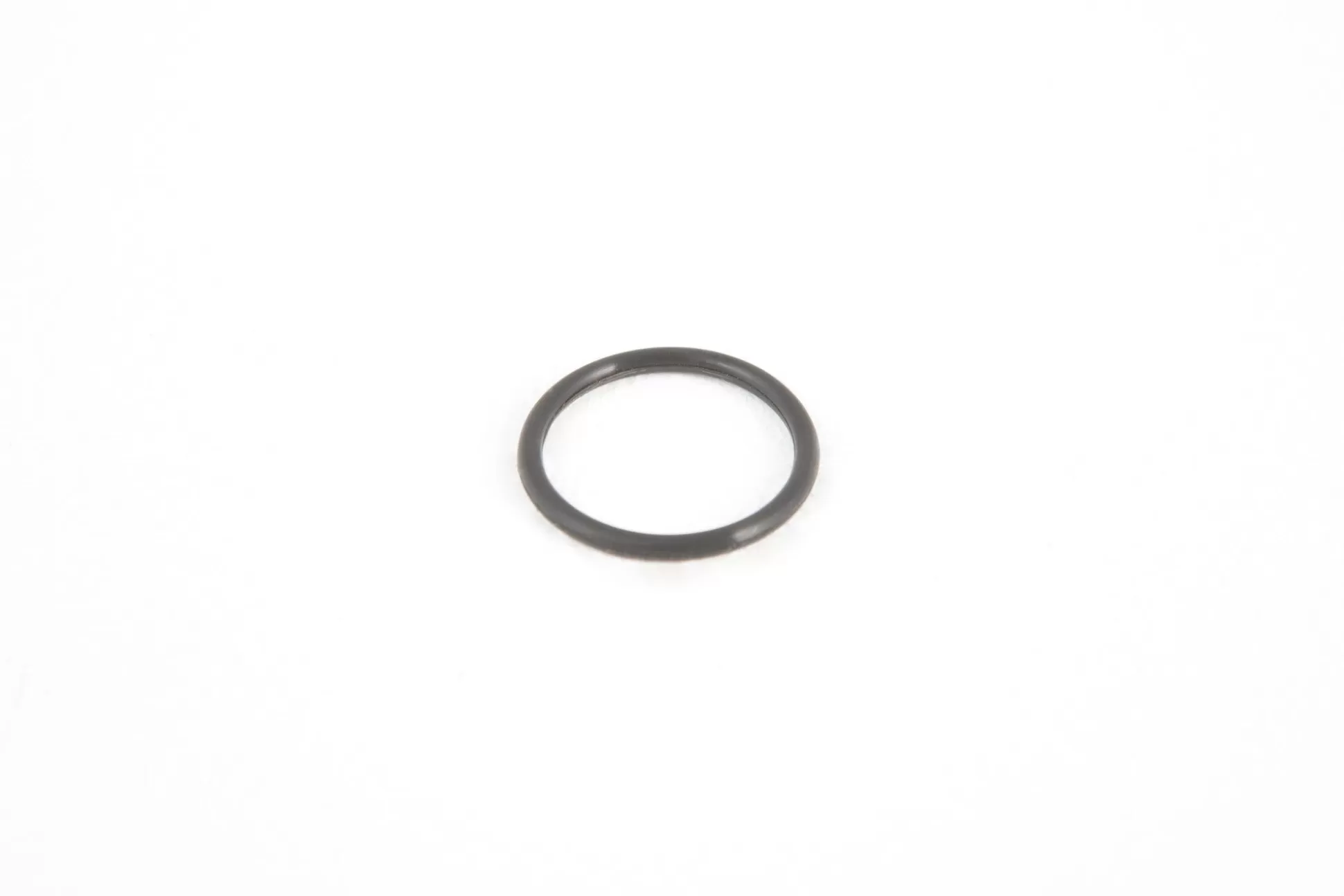 Bestway Hose Seal Ring For 330 - 800 Gal. Filter Pump Cheap